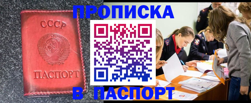 прописка для школы в Сураже